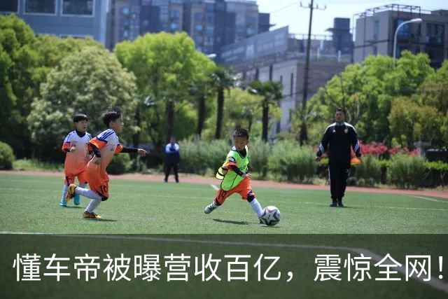 懂车帝被曝营收百亿，震惊全网！